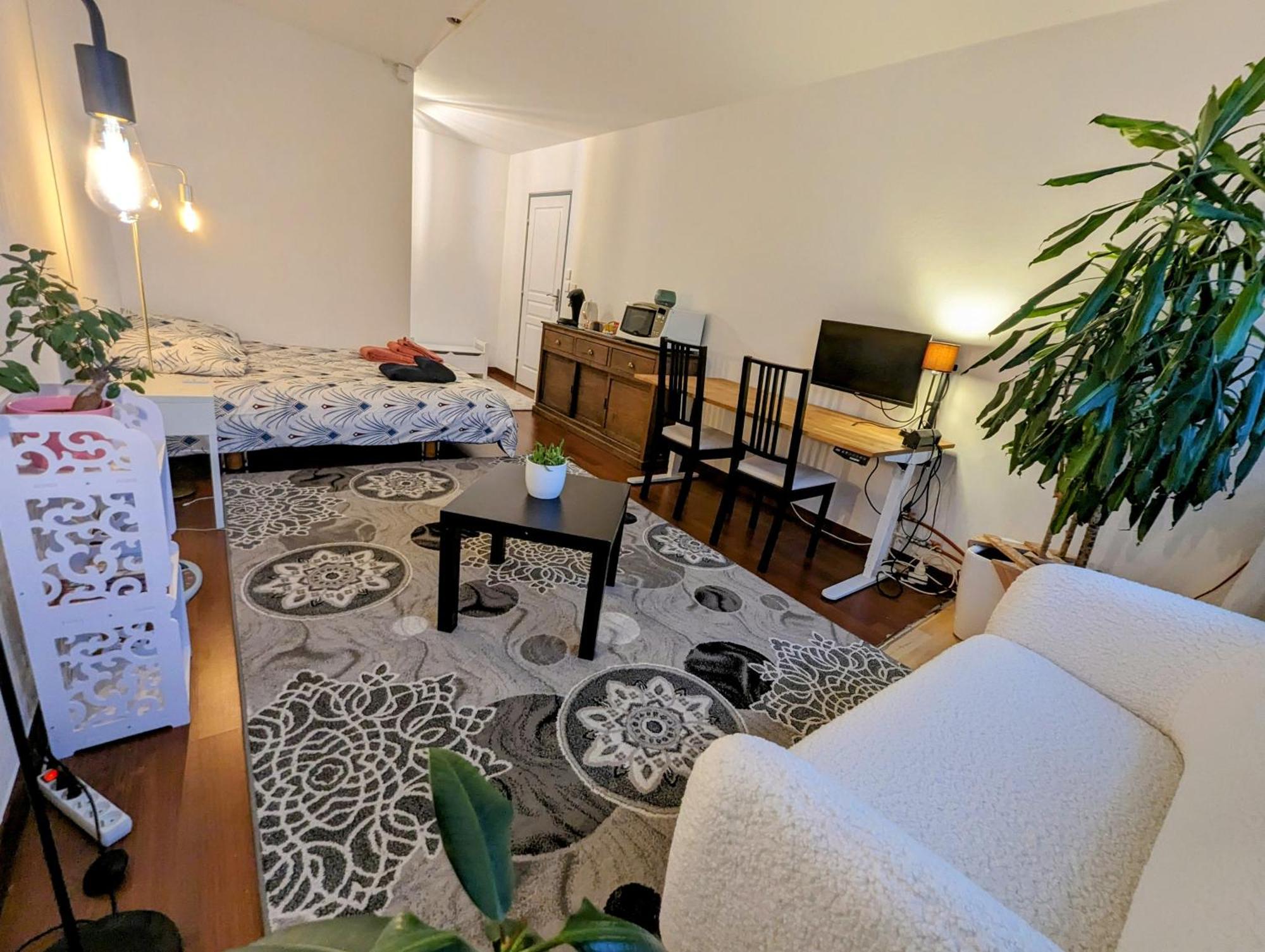 Chez Les P'Tits Loups Apartment สตราสบูร์ก ภายนอก รูปภาพ