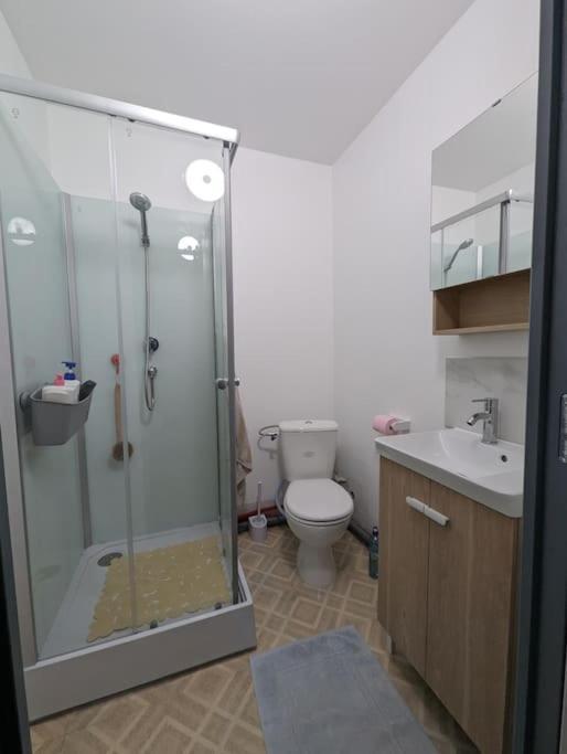 Chez Les P'Tits Loups Apartment สตราสบูร์ก ภายนอก รูปภาพ